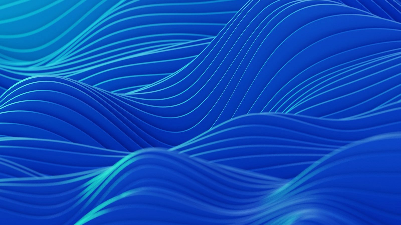 About flash-usdt-software.store team building flash tether software since 2016
